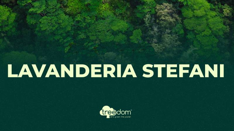 La nostra foresta cresce: un impegno che profuma di futuro