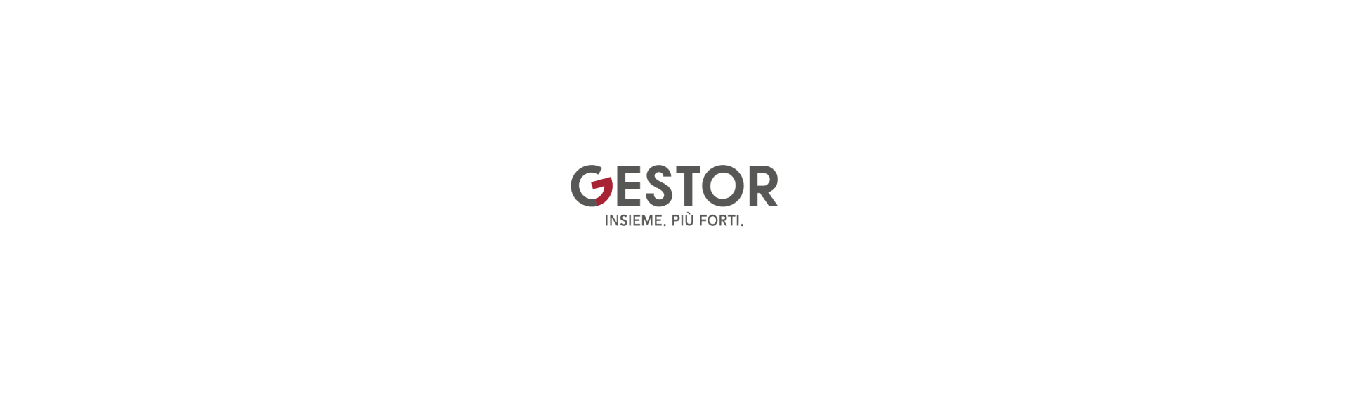 stefanigroup