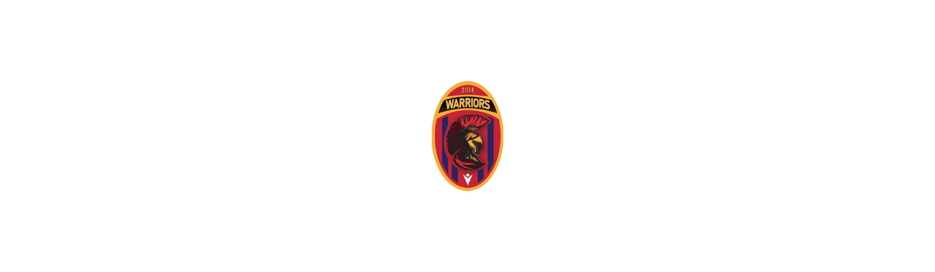 stefanigroup