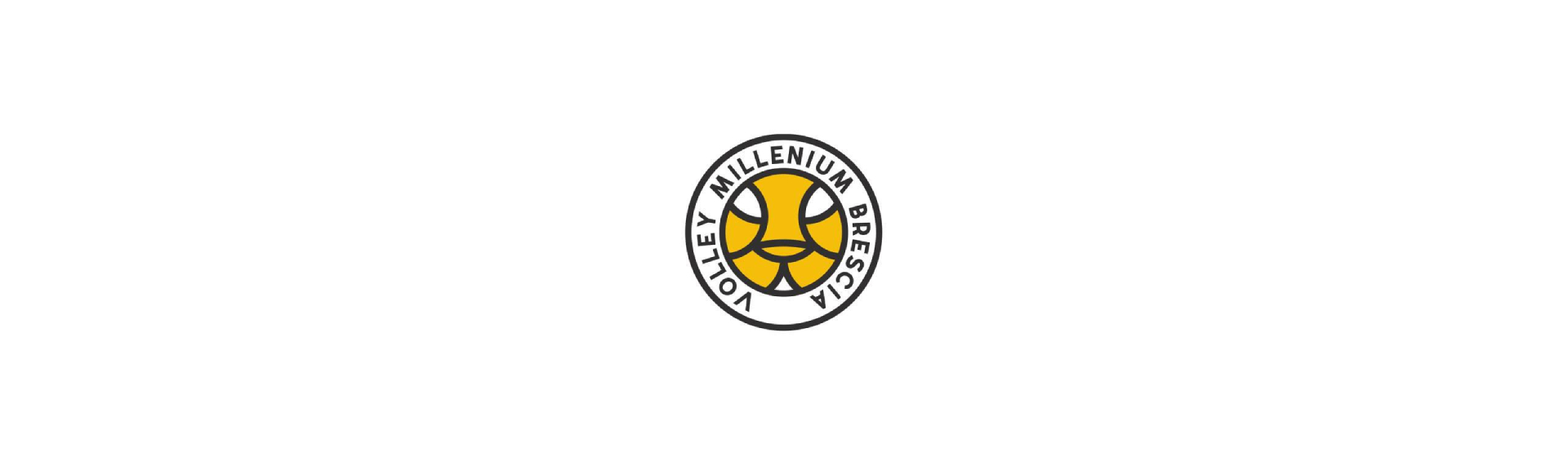 stefanigroup