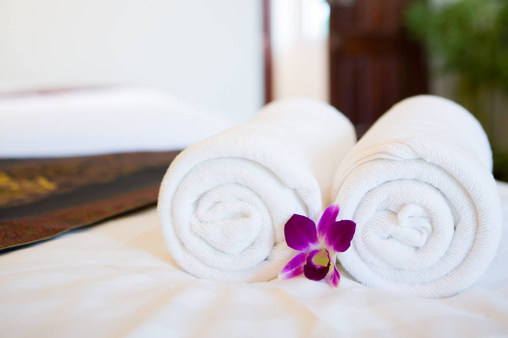 Servizi specializzati per SPA e Centri Benessere con Stefani Group